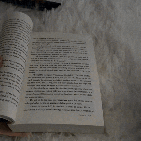 LumaPage™ Book Light